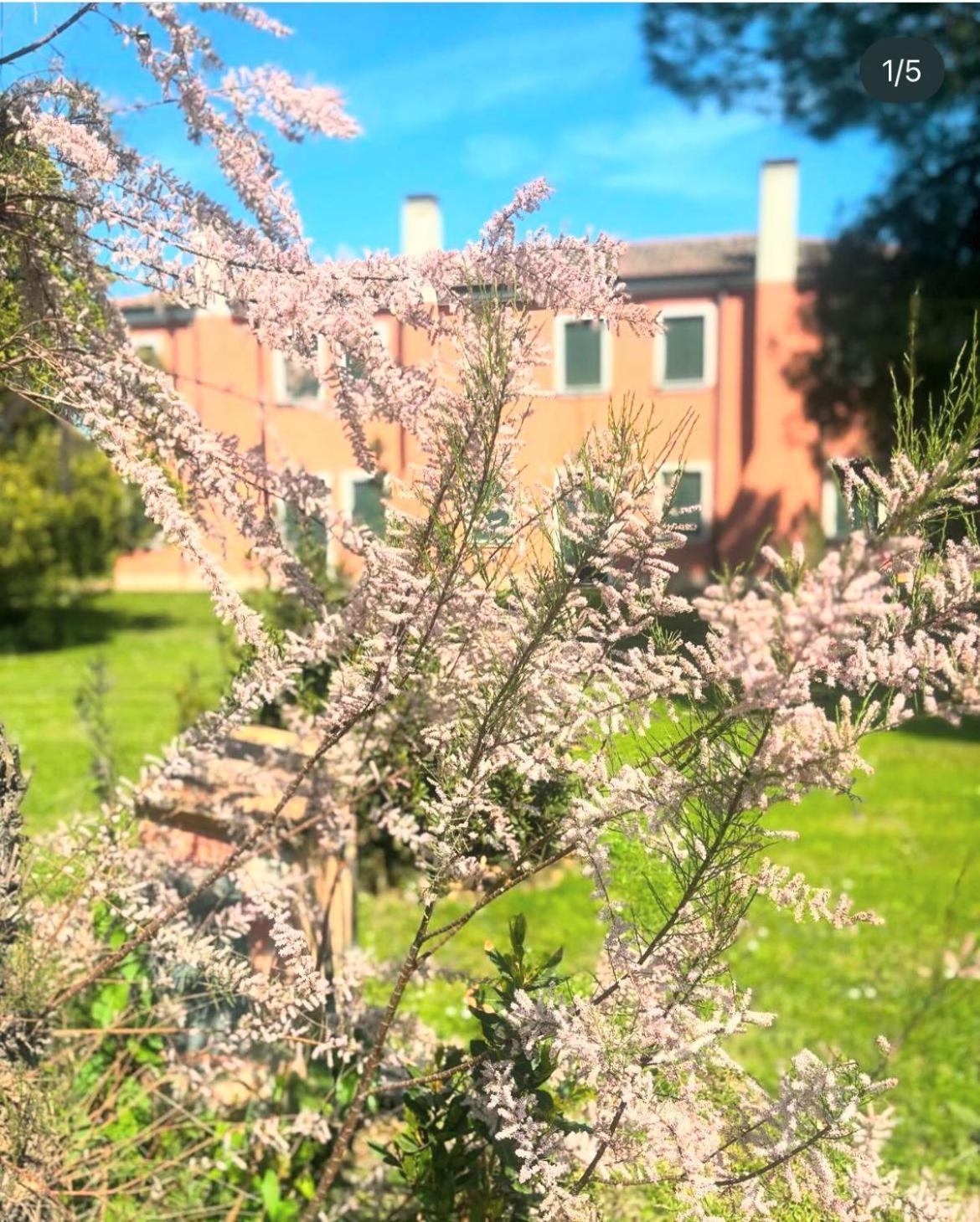 Agriturismo Ca' Bonelli 1924 Scardovari Zewnętrze zdjęcie